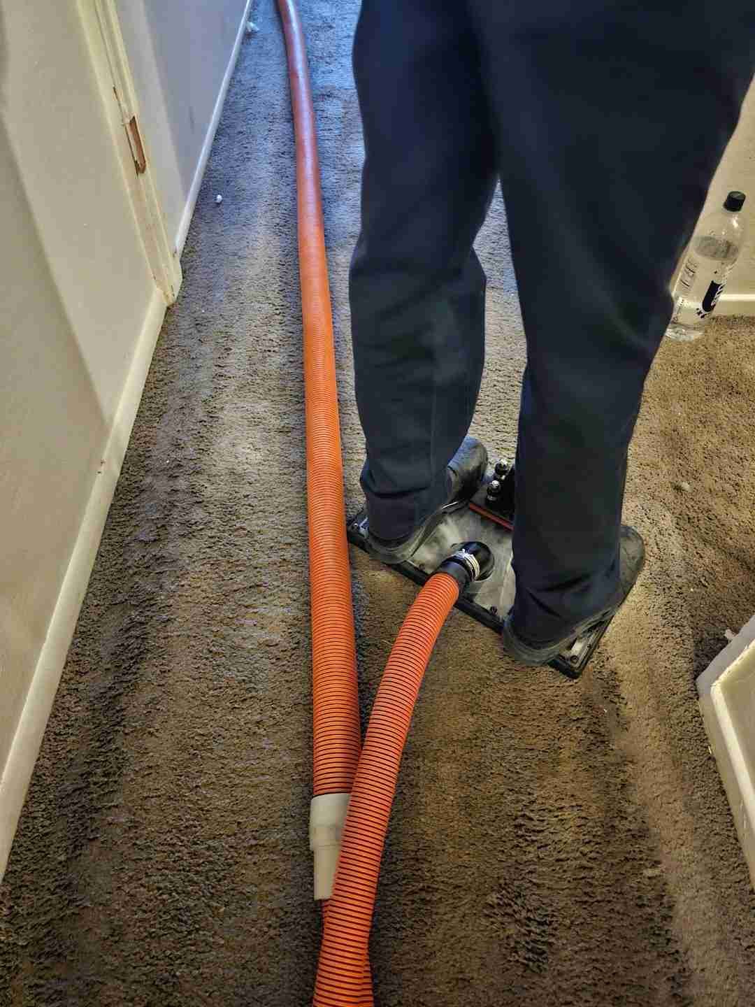 Water Damage Restoration 17 Rapid Response technician actively extracting water from carpet during a High Desert restoration project